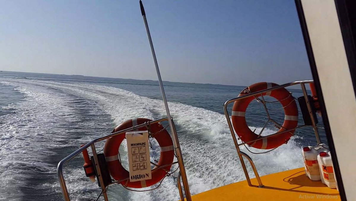 Imagen de Capitol 11 - 2016